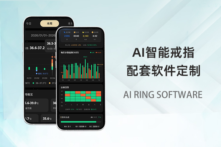 成都小火科技软件公司